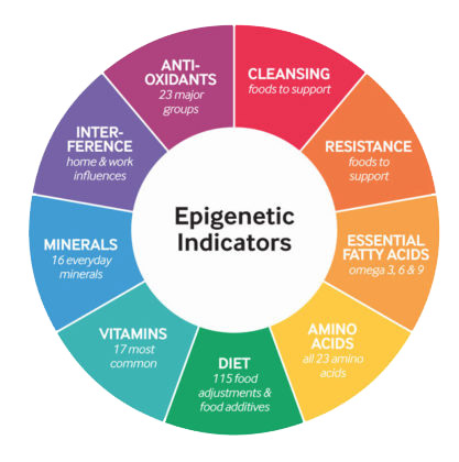 Epigenetic Indicators Chart